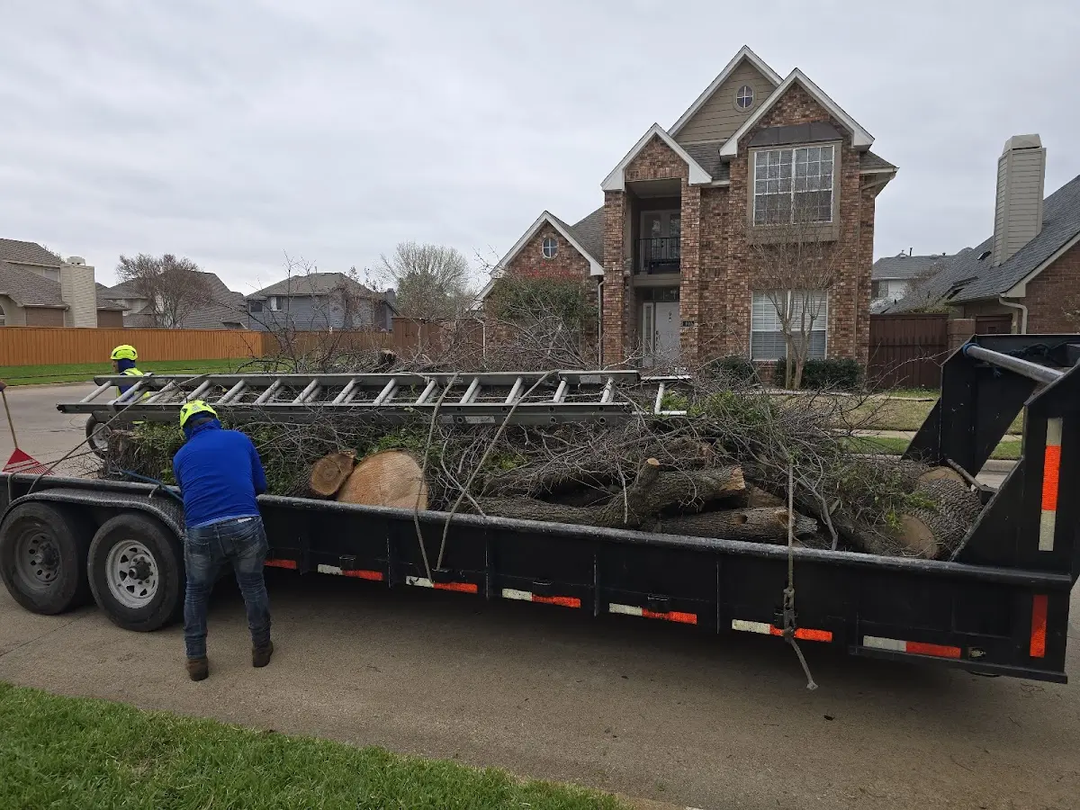 Expert Tree Removal with proper safety equipment in Blue Ridge